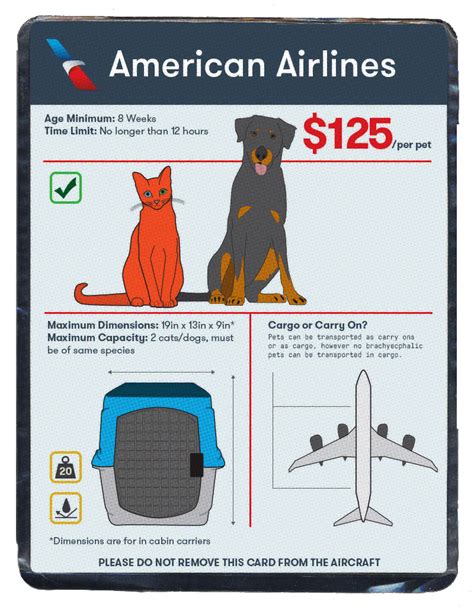 The Ultimate Guide to Pet Travel on Volaris Cargo
